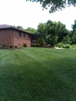 Blackstock lawncare Logo