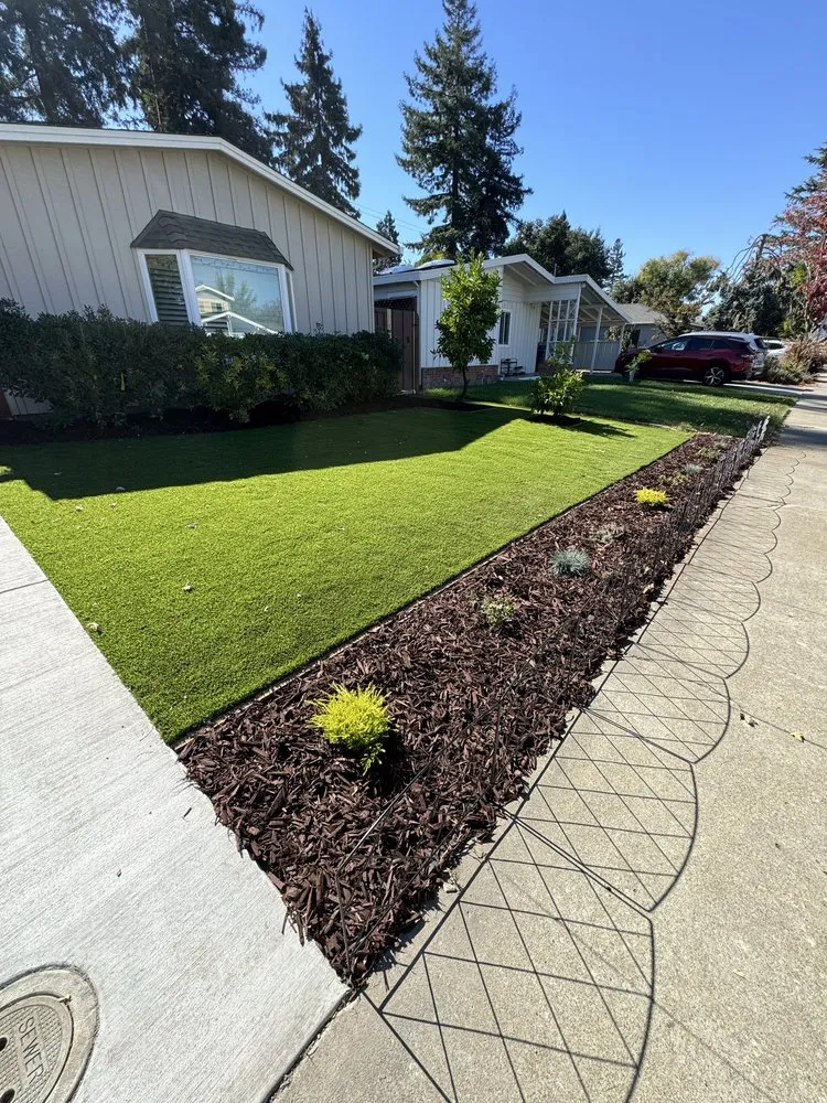 Professional yard maintenance in San Jose, CA - Blackstone Landscape and Design