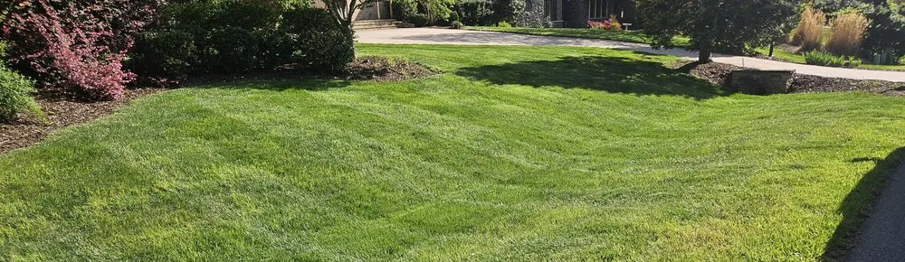 Professional yard maintenance in Colfax, NC - Blackstone Lawn Service