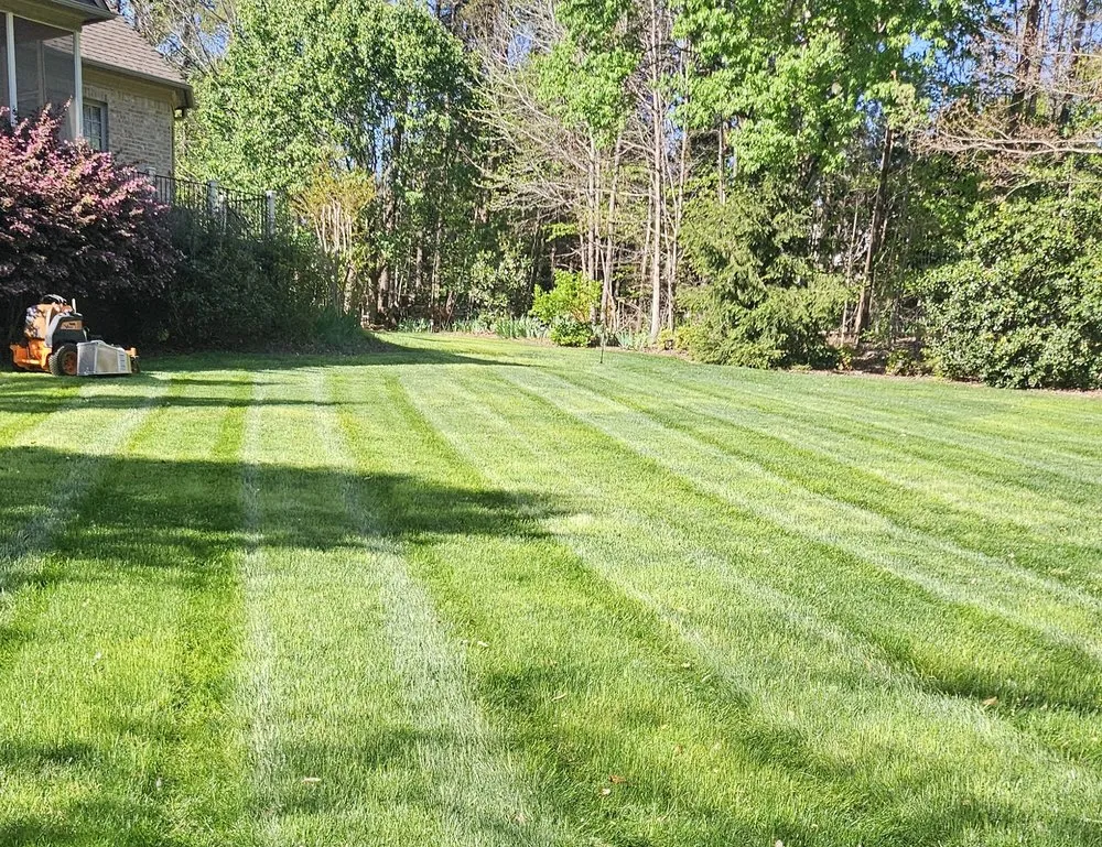 Affordable yard cleanup service for year-round maintenance across Colfax, NC - Blackstone Lawn Service