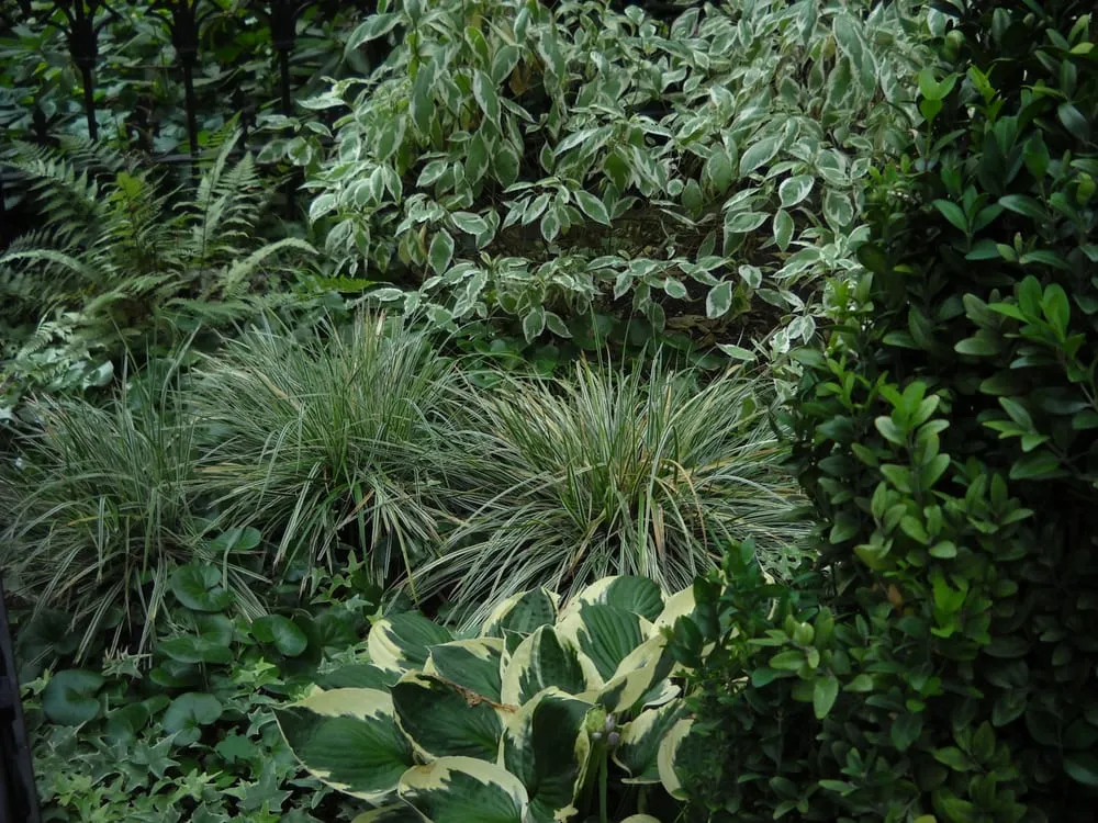 Local outdoor landscaping in Boston, MA by Blackstone Urban Landscapes