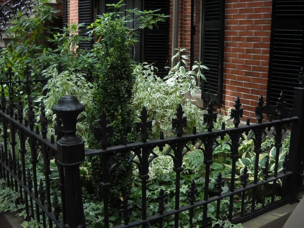 Custom yard maintenance for outdoor upgrades across Boston, MA - Blackstone Urban Landscapes