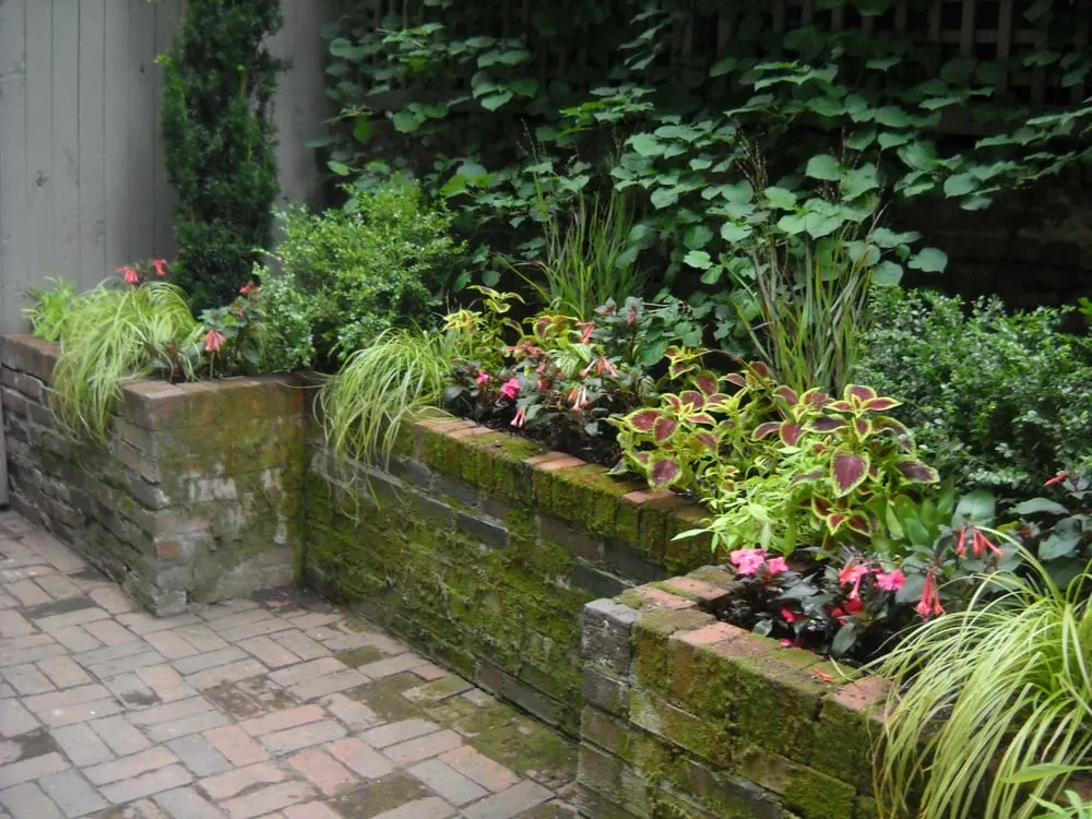 Top-rated yard cleanup service experts serving Boston, MA - Blackstone Urban Landscapes