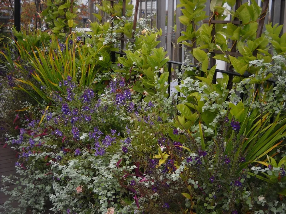 Affordable garden landscaping for beautiful yards in Boston, MA by Blackstone Urban Landscapes