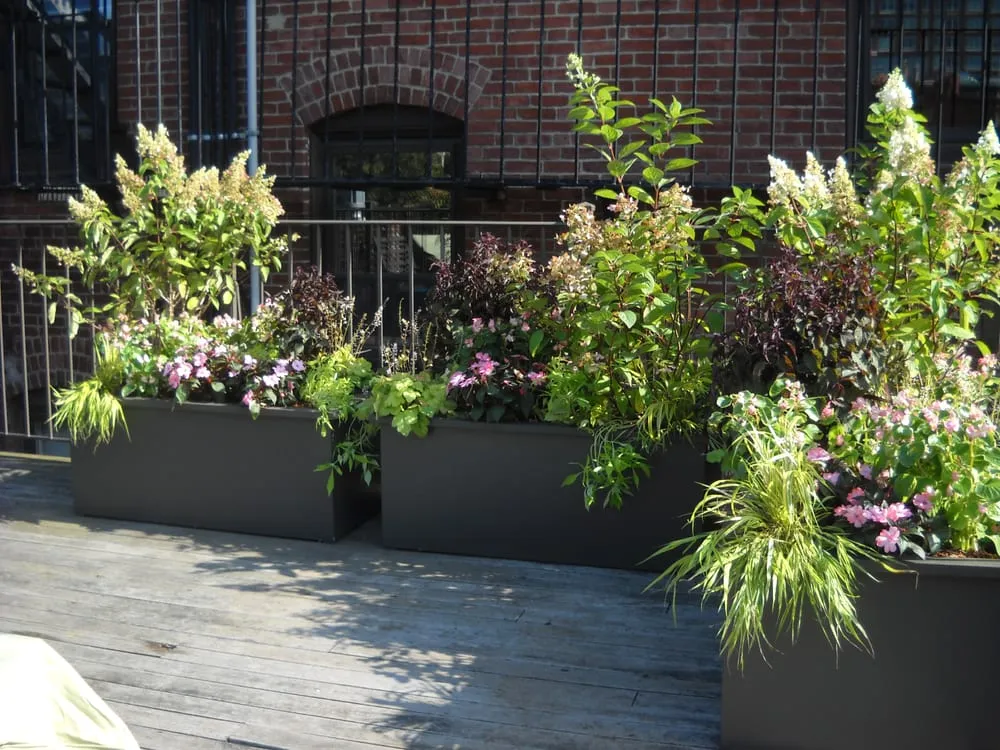 Professional lawn mowing service near you in Boston, MA by Blackstone Urban Landscapes