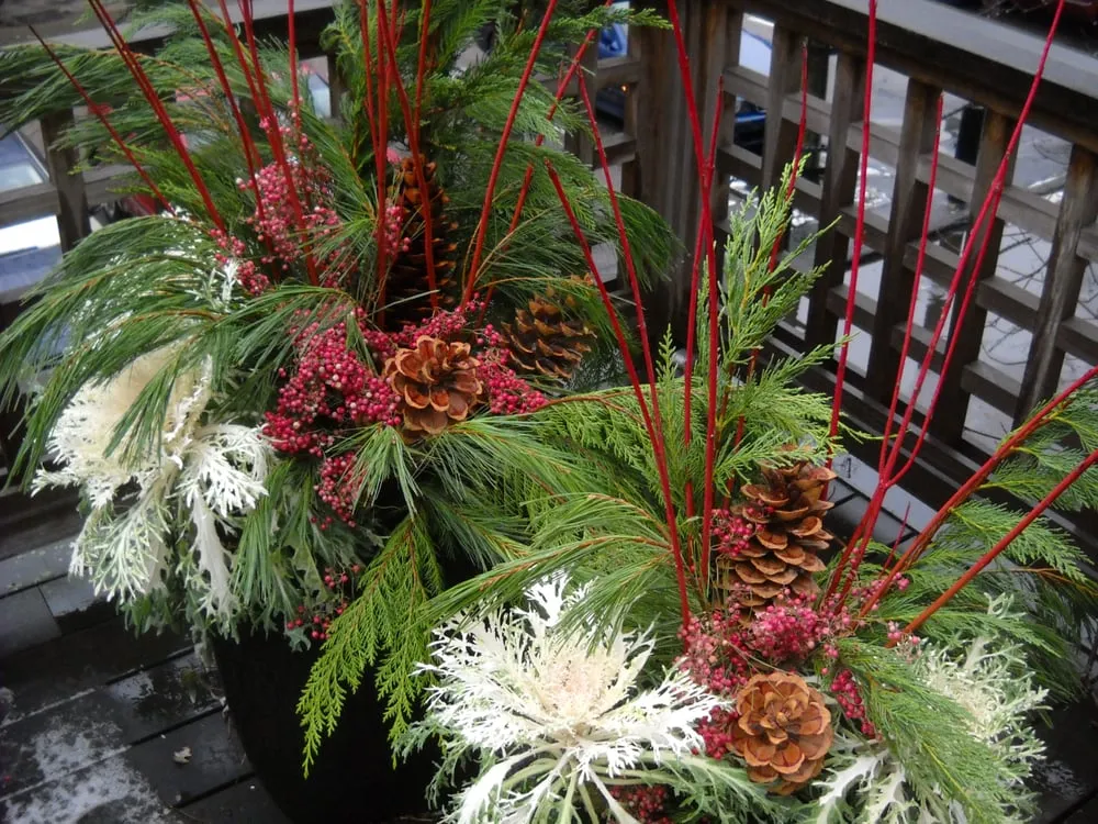 Top-rated residential landscaping for residential properties in Boston, MA by Blackstone Urban Landscapes