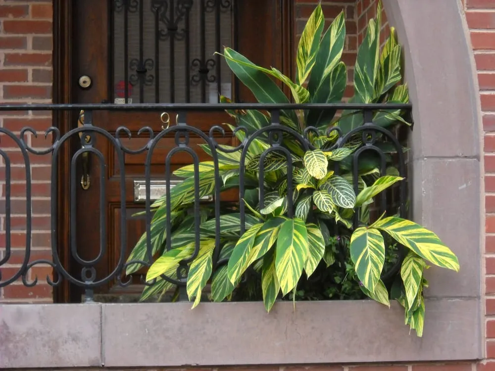 Top-rated landscaping services for homes across Boston, MA - Blackstone Urban Landscapes