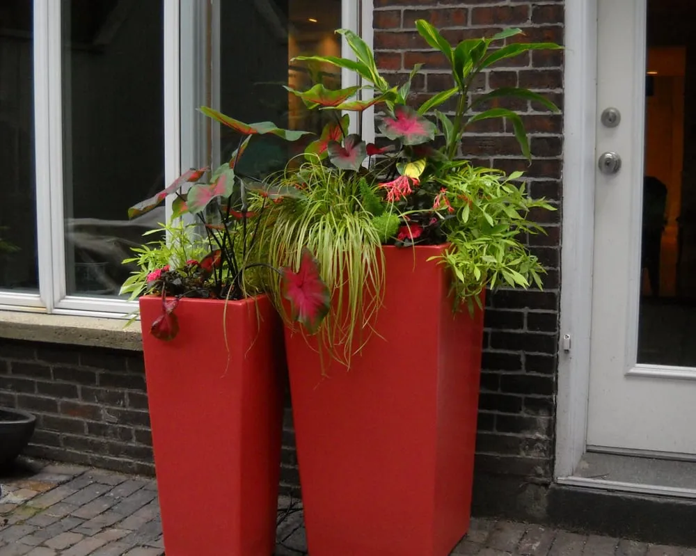 Custom yard maintenance in Boston, MA by Blackstone Urban Landscapes