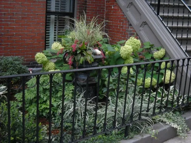 Expert lawn mowing service for year-round maintenance in Boston, MA by Blackstone Urban Landscapes