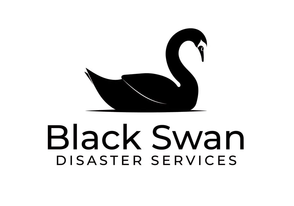 Affordable yard cleanup service in Louisville, KY by BlackSwan property solutions