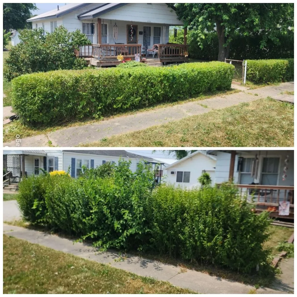 Local residential landscaping in Vandalia, IL by Blackwell Lawncare