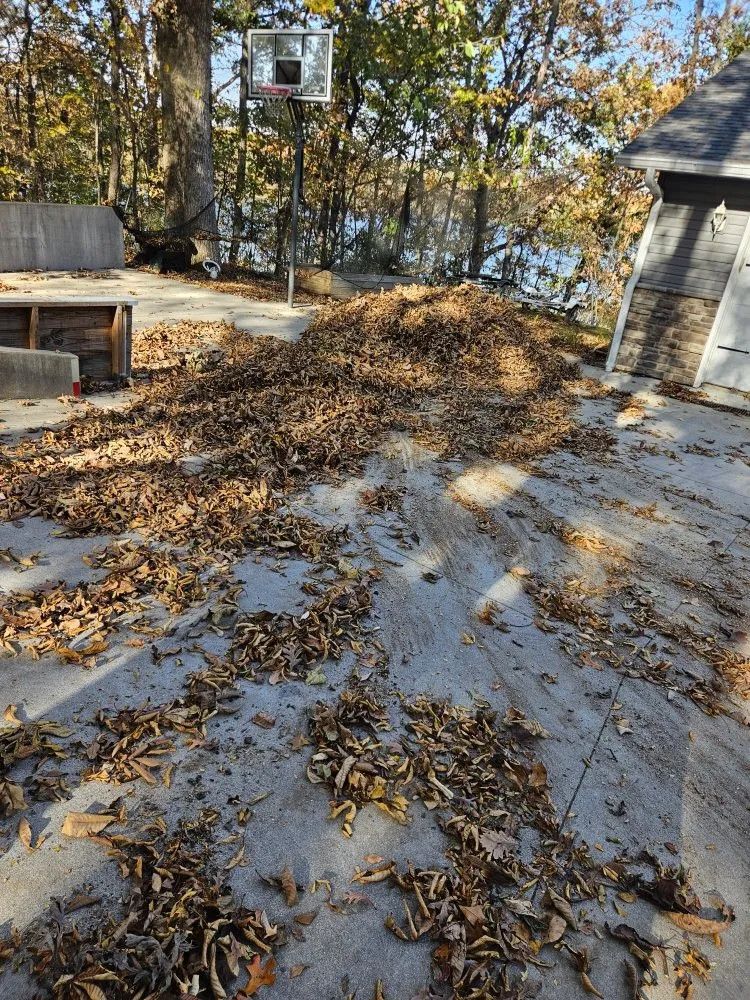 Expert yard maintenance for homes in Vandalia, IL by Blackwell Lawncare