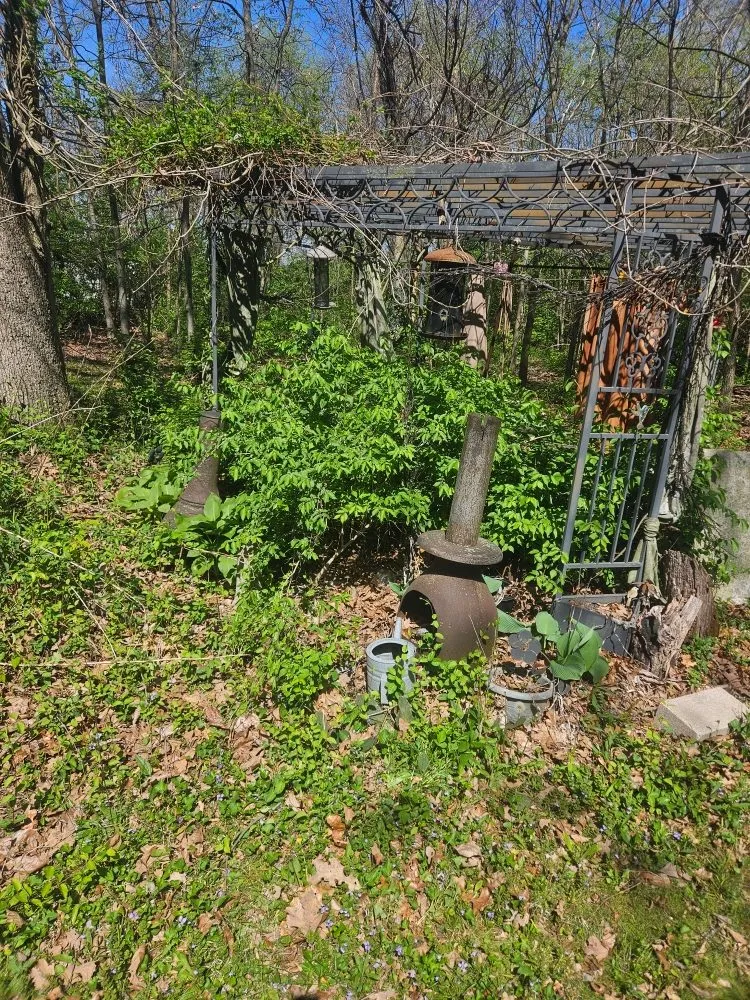 Reliable yard cleanup service for year-round maintenance in Vandalia, IL by Blackwell Lawncare