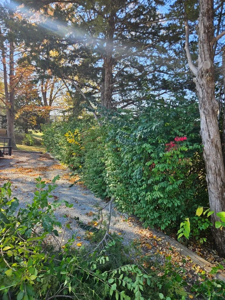 Trusted landscaping services for outdoor upgrades in Vandalia, IL by Blackwell Lawncare