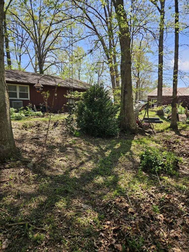 Professional lawn care service with custom design in Vandalia, IL by Blackwell Lawncare