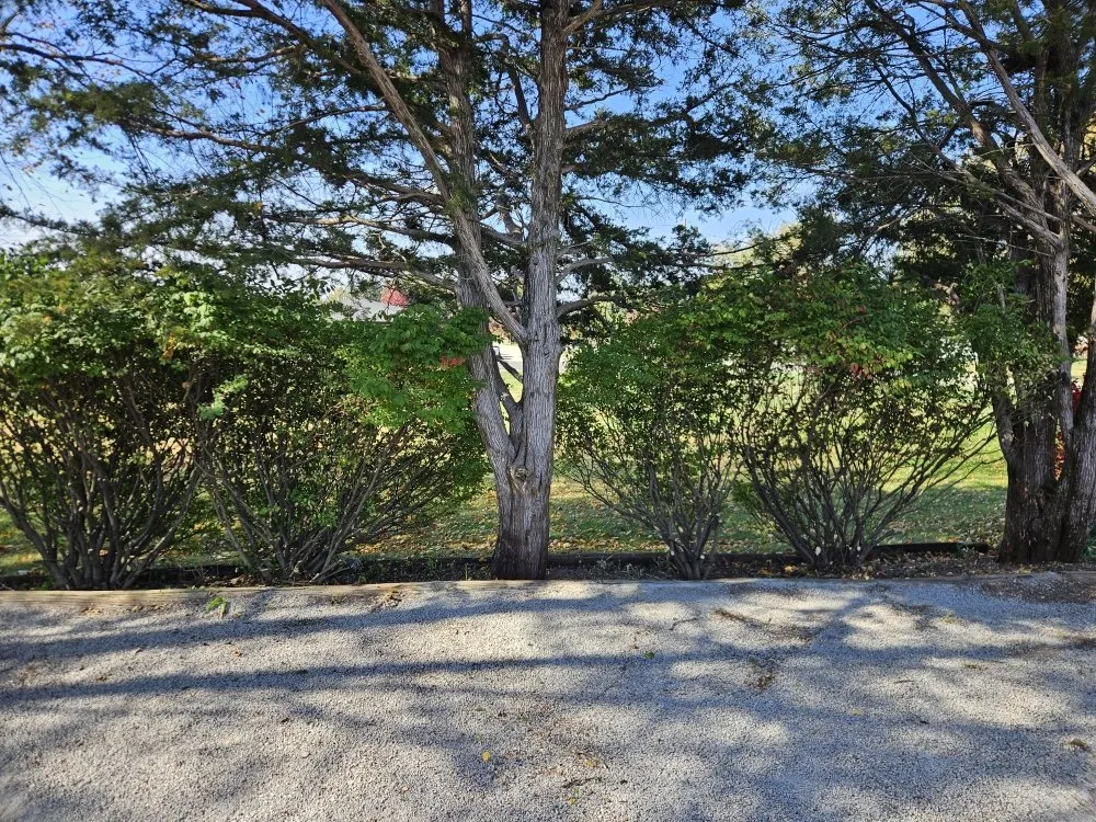 Professional outdoor landscaping in Vandalia, IL by Blackwell Lawncare