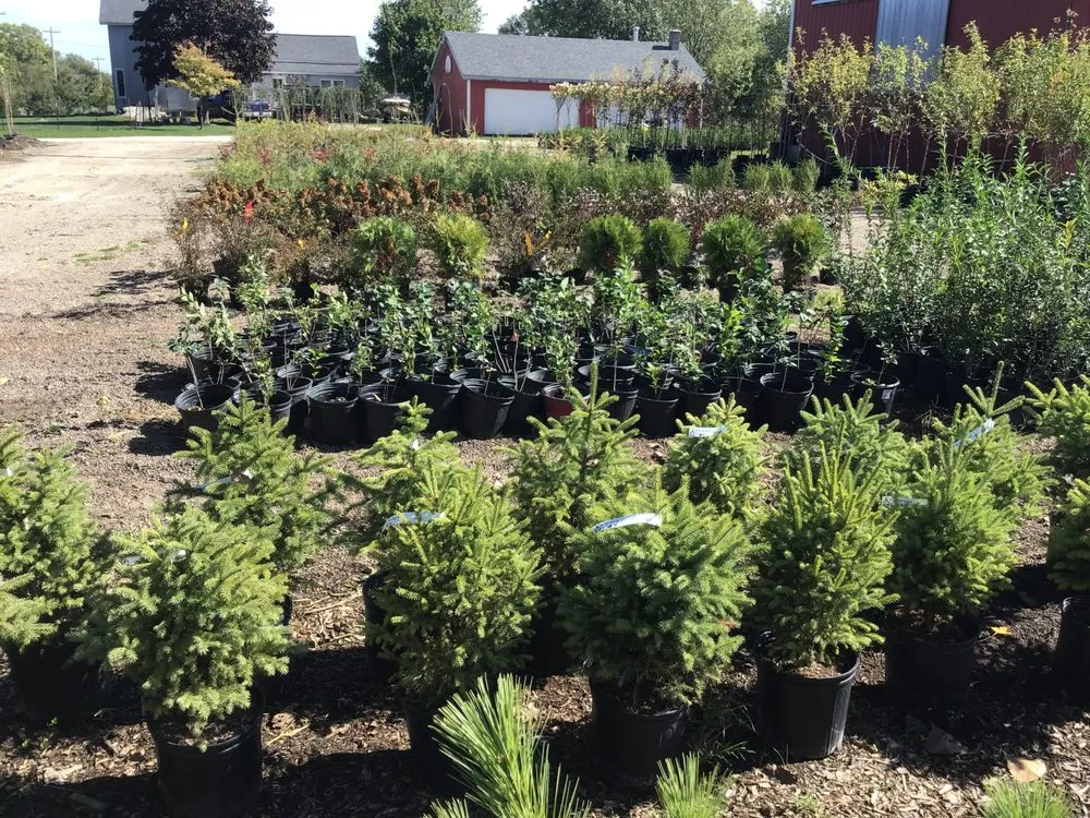 Reliable yard maintenance near you across Oshkosh, WI - Blackwolf Nursery & Landscaping