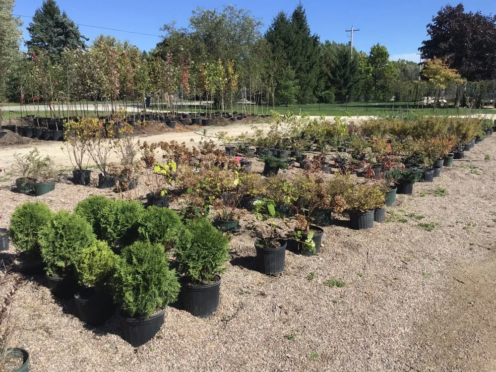 Affordable landscaping services for beautiful yards across Oshkosh, WI - Blackwolf Nursery & Landscaping