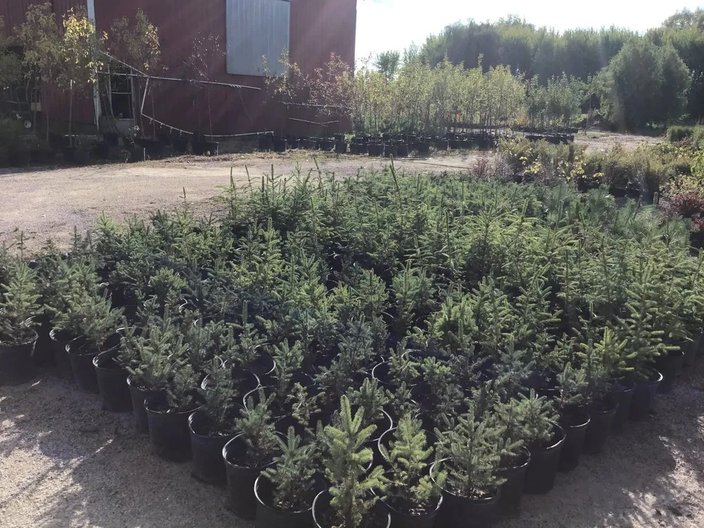 Trusted landscaping services in Oshkosh, WI - Blackwolf Nursery & Landscaping