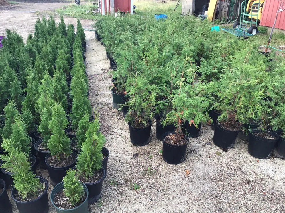 Local yard maintenance for homes across Oshkosh, WI - Blackwolf Nursery & Landscaping