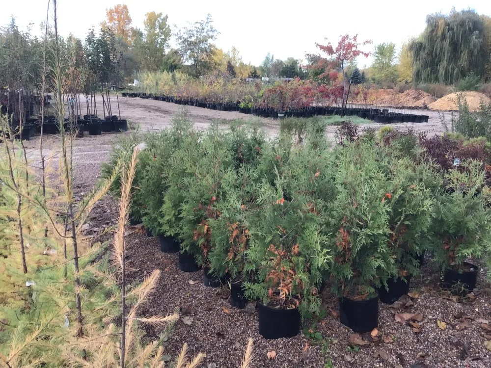 Custom outdoor landscaping in Oshkosh, WI - Blackwolf Nursery & Landscaping