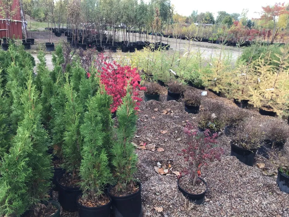 Local landscape design in Oshkosh, WI by Blackwolf Nursery & Landscaping
