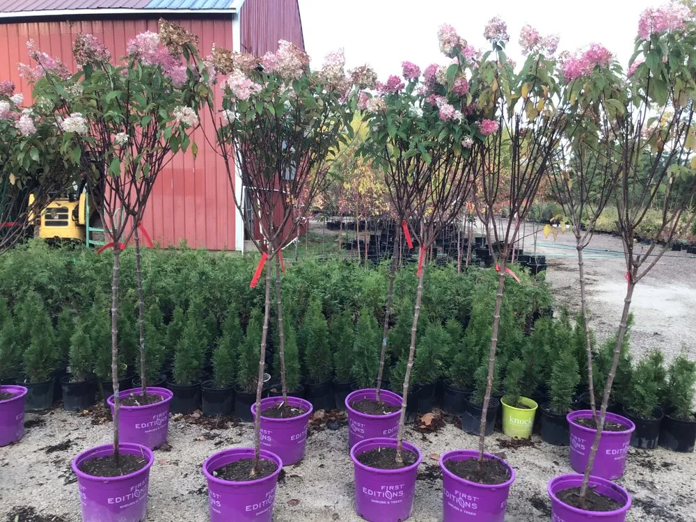 Reliable landscape design for outdoor upgrades across Oshkosh, WI - Blackwolf Nursery & Landscaping