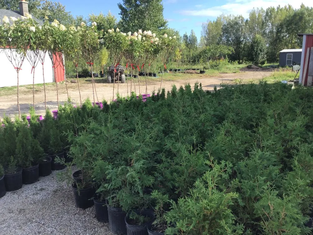 Top-rated yard maintenance in Oshkosh, WI by Blackwolf Nursery & Landscaping