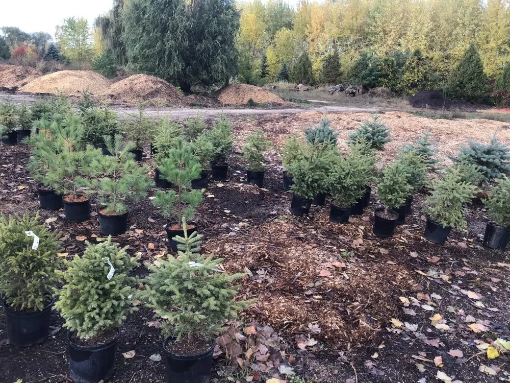 Affordable garden landscaping in Oshkosh, WI by Blackwolf Nursery & Landscaping