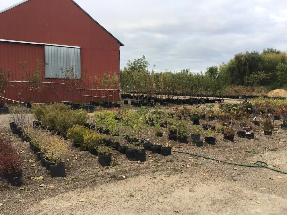 Trusted landscape design in Oshkosh, WI - Blackwolf Nursery & Landscaping