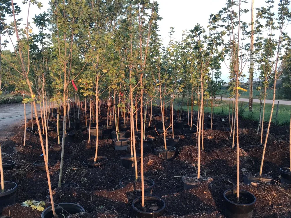 Expert lawn care service in Oshkosh, WI by Blackwolf Nursery & Landscaping