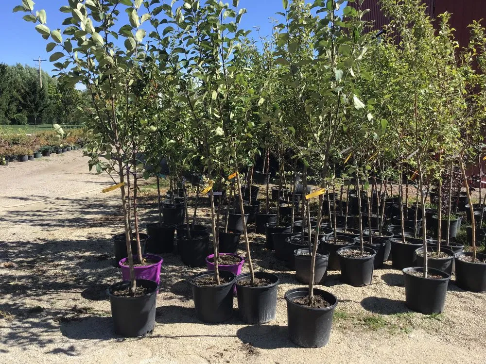 Expert landscape design experts serving Oshkosh, WI - Blackwolf Nursery & Landscaping