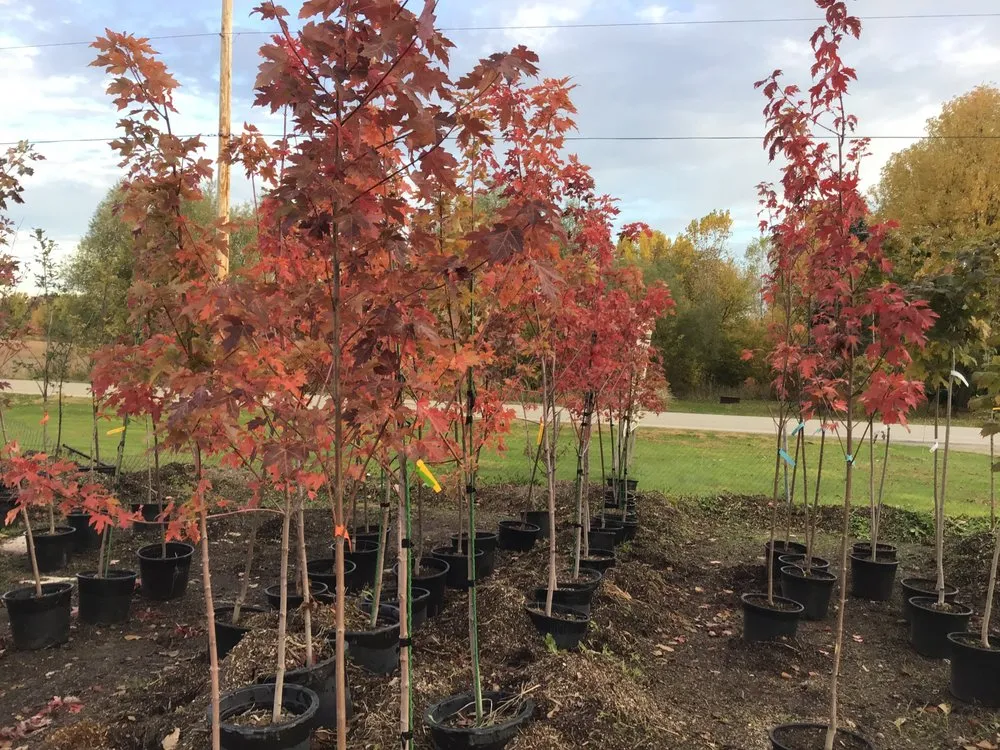 Custom landscape design in Oshkosh, WI - Blackwolf Nursery & Landscaping