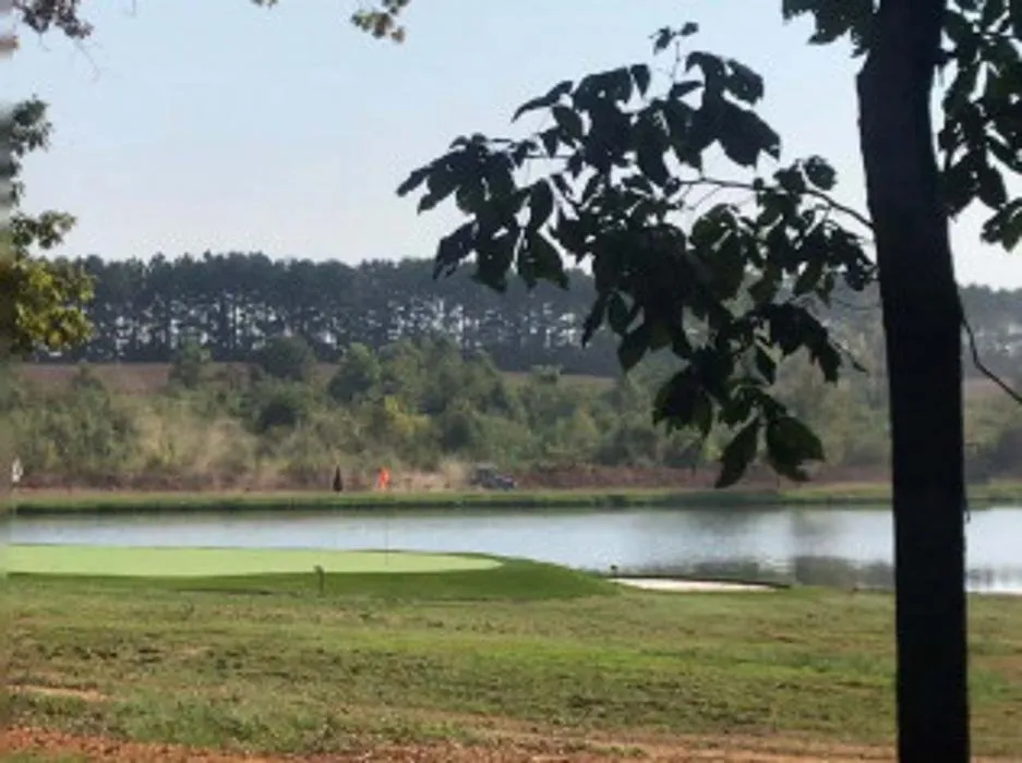 Affordable yard cleanup service for beautiful yards in Chapel Hill, NC by Blackwood Grading & Landscaping