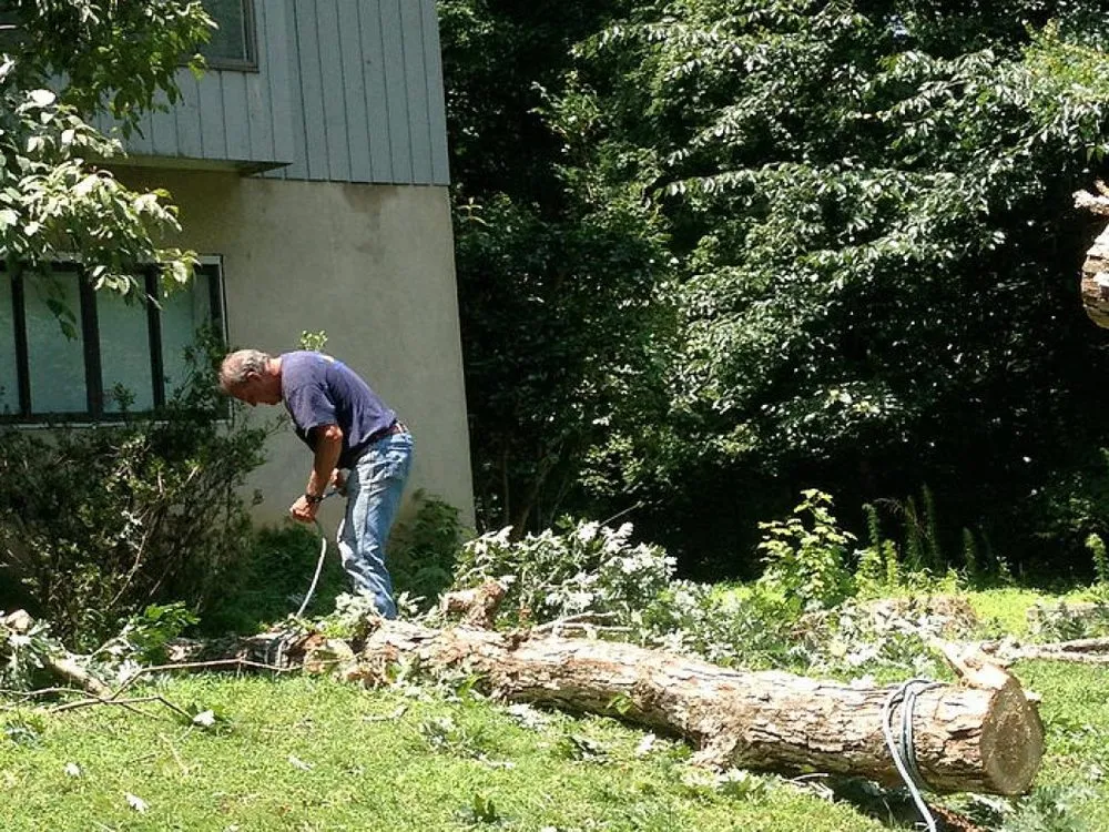 Local residential landscaping with custom design across Chapel Hill, NC - Blackwood Grading & Landscaping