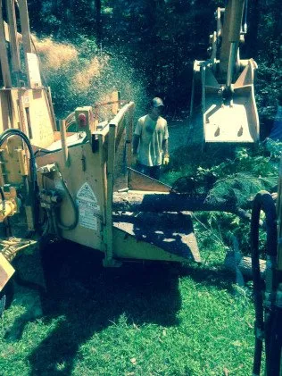 Local lawn care service for year-round maintenance in Chapel Hill, NC by Blackwood Grading & Landscaping