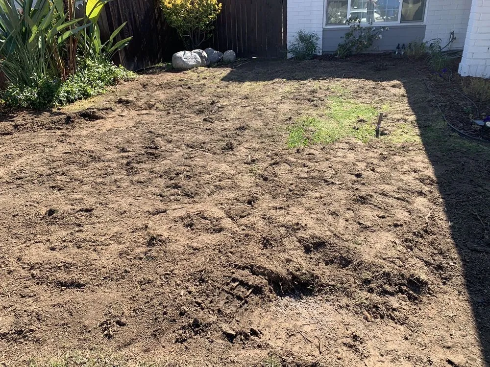 Top-rated landscaping services in Dana Point, CA by Blackwood Landscaping