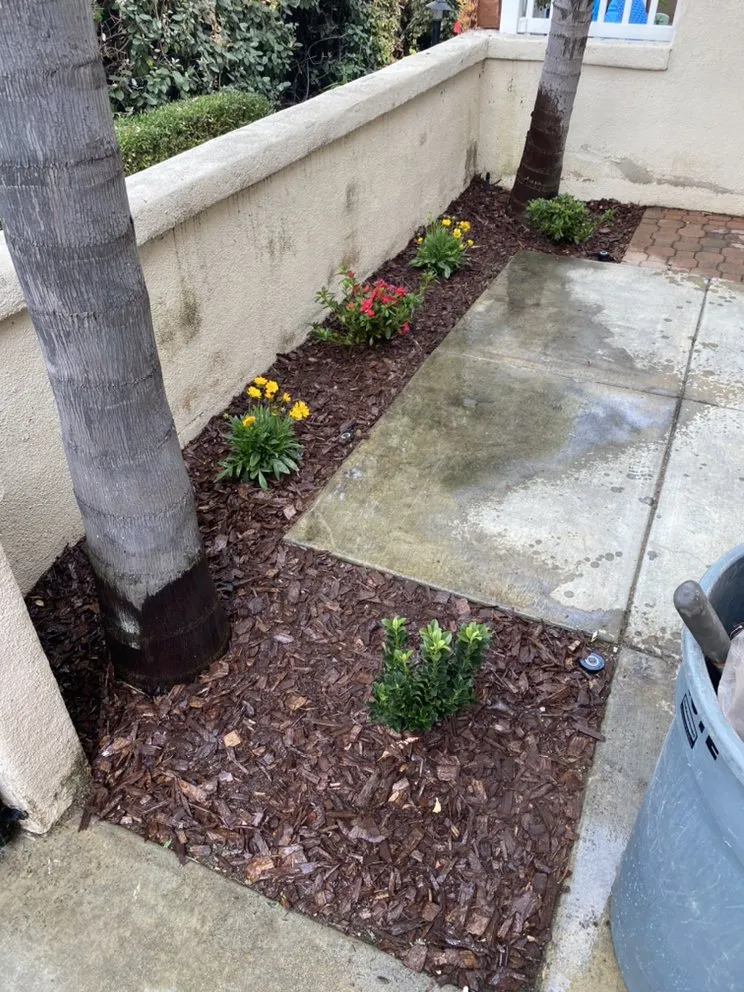 Expert lawn care service in Dana Point, CA by Blackwood Landscaping