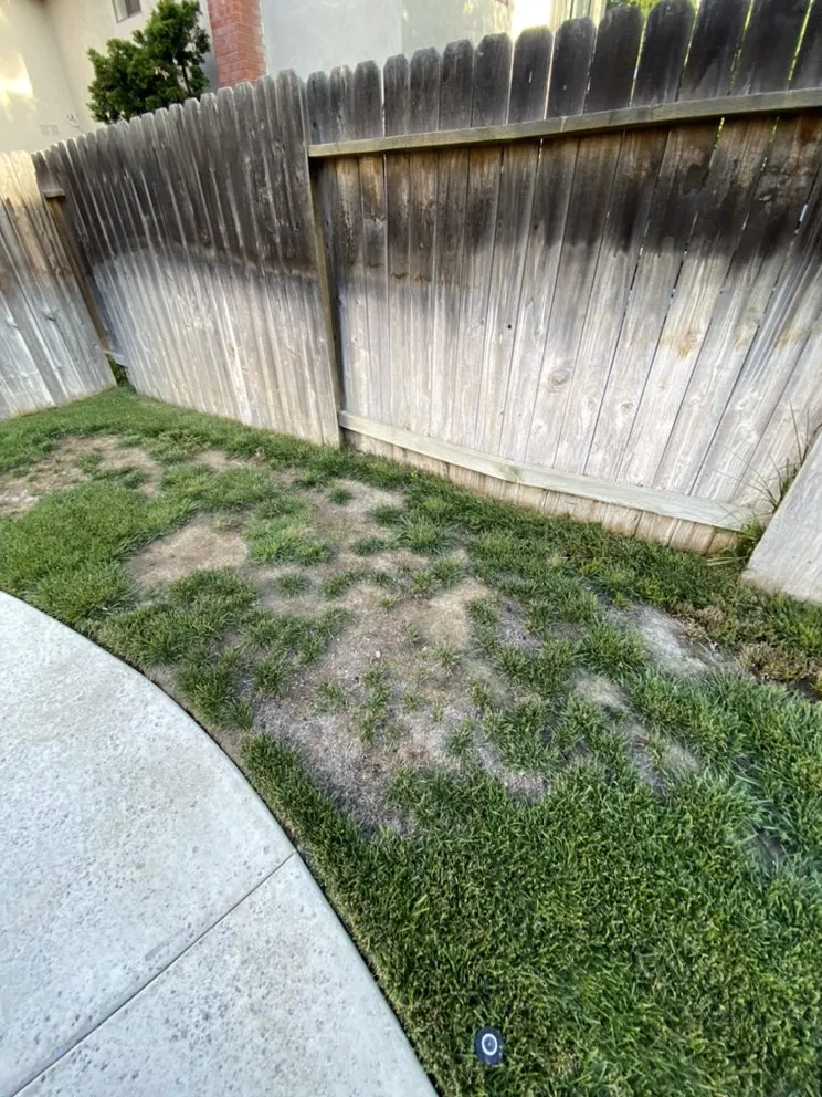 Top-rated garden landscaping experts serving Dana Point, CA - Blackwood Landscaping