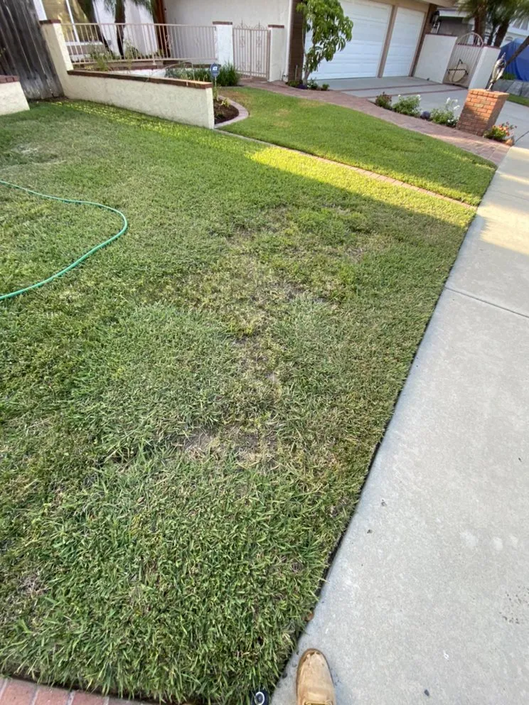 Trusted outdoor landscaping for residential properties in Dana Point, CA by Blackwood Landscaping