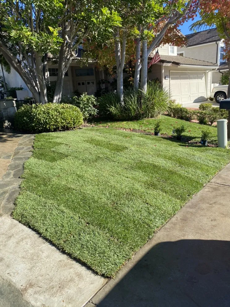 Affordable outdoor landscaping with custom design in Dana Point, CA by Blackwood Landscaping