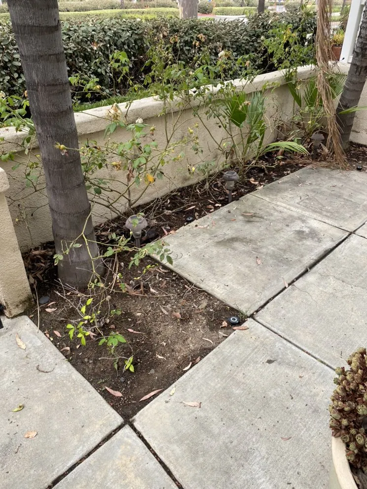 Custom garden landscaping in Dana Point, CA by Blackwood Landscaping