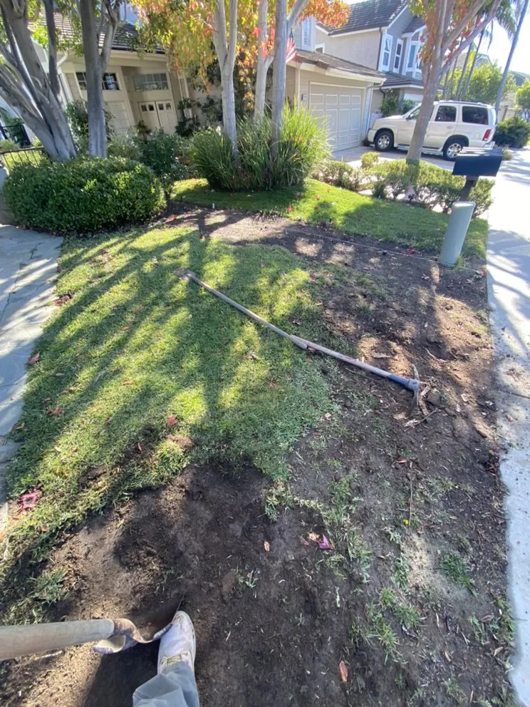 Reliable outdoor landscaping for residential properties across Dana Point, CA - Blackwood Landscaping