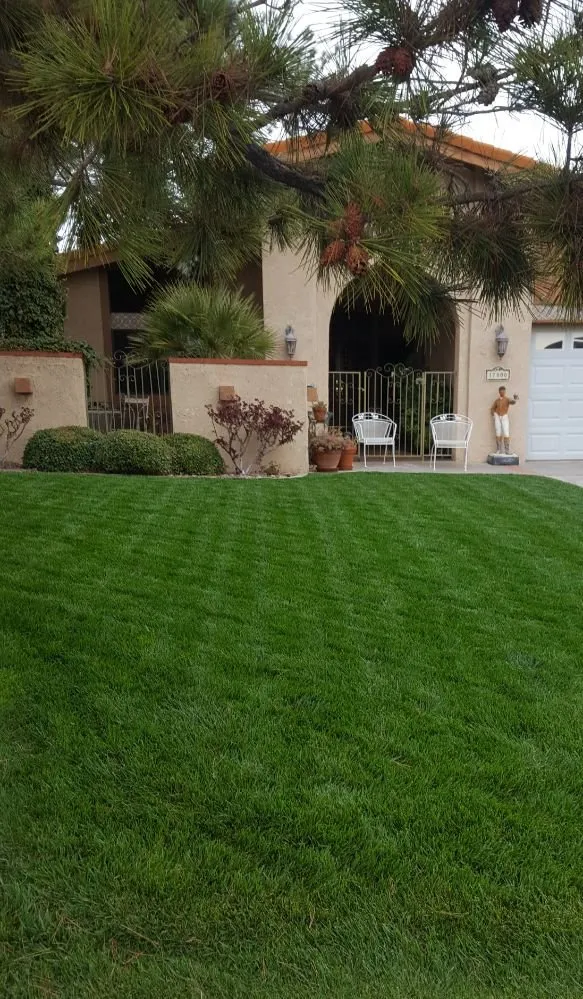 Trusted yard maintenance in Victorville, CA - Blackwood's Landscape Maintenance