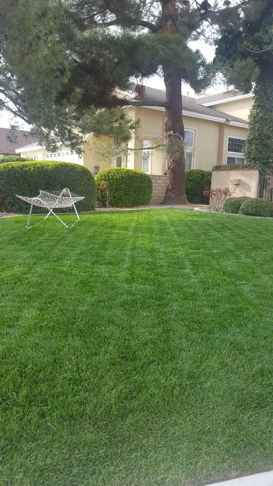 Professional lawn mowing service for homes in Victorville, CA by Blackwood's Landscape Maintenance