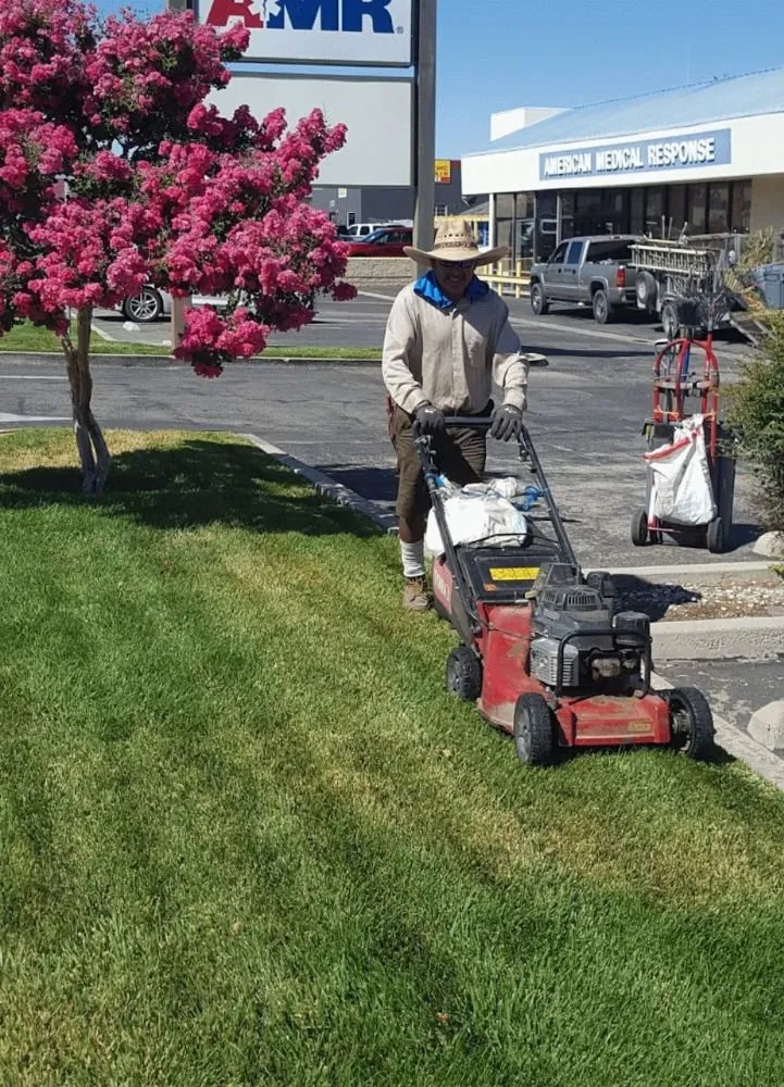 Local garden landscaping for homes in Victorville, CA by Blackwood's Landscape Maintenance