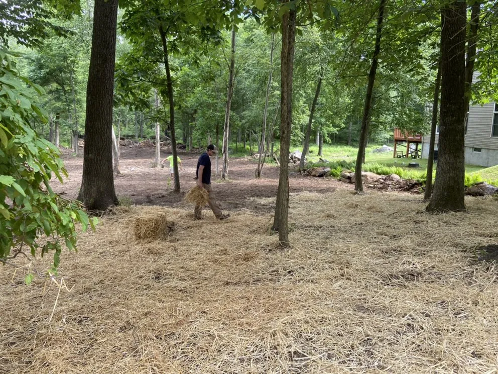 Professional yard cleanup service experts serving Kunkletown, PA - Blackwoods Property Services