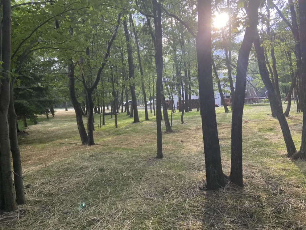Local landscaping services in Kunkletown, PA - Blackwoods Property Services