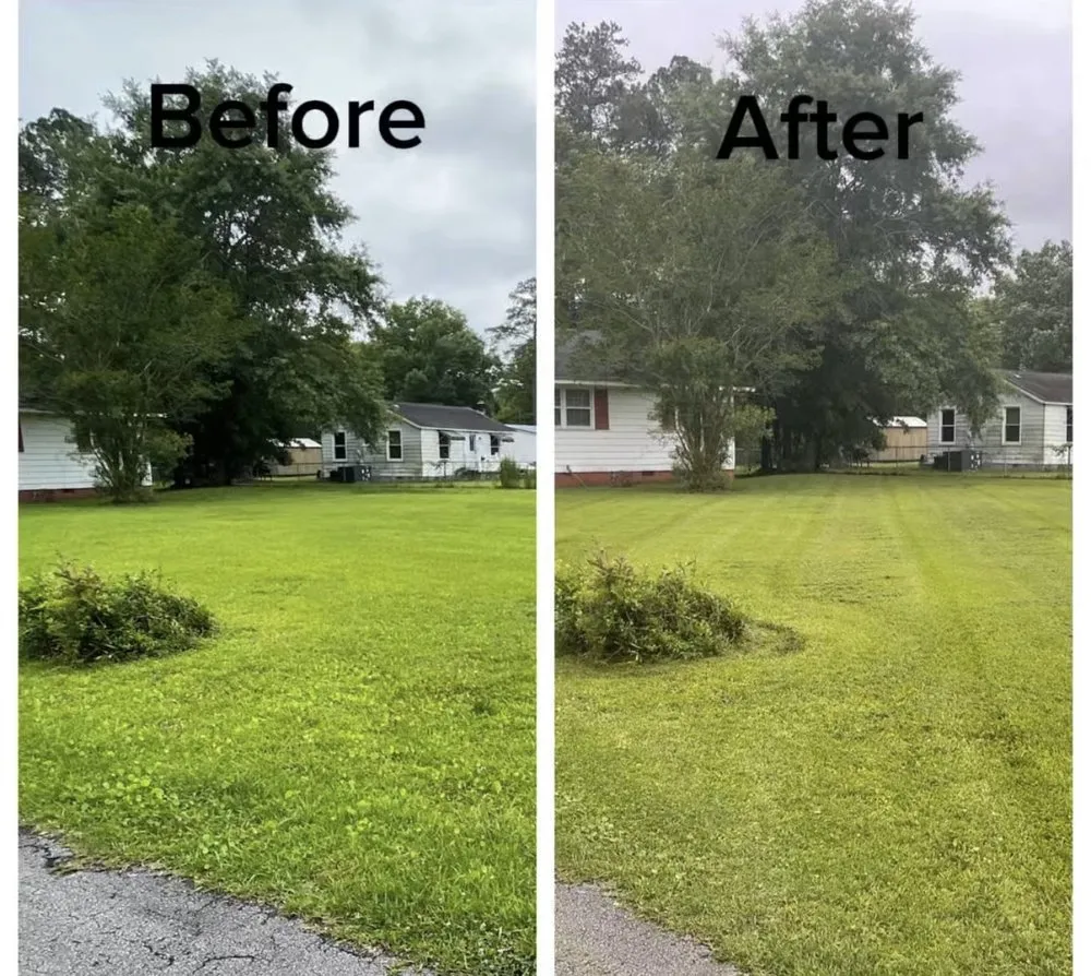 Expert garden landscaping with custom design across Jacksonville, NC - Blade an Bloom Commercial Landscaping