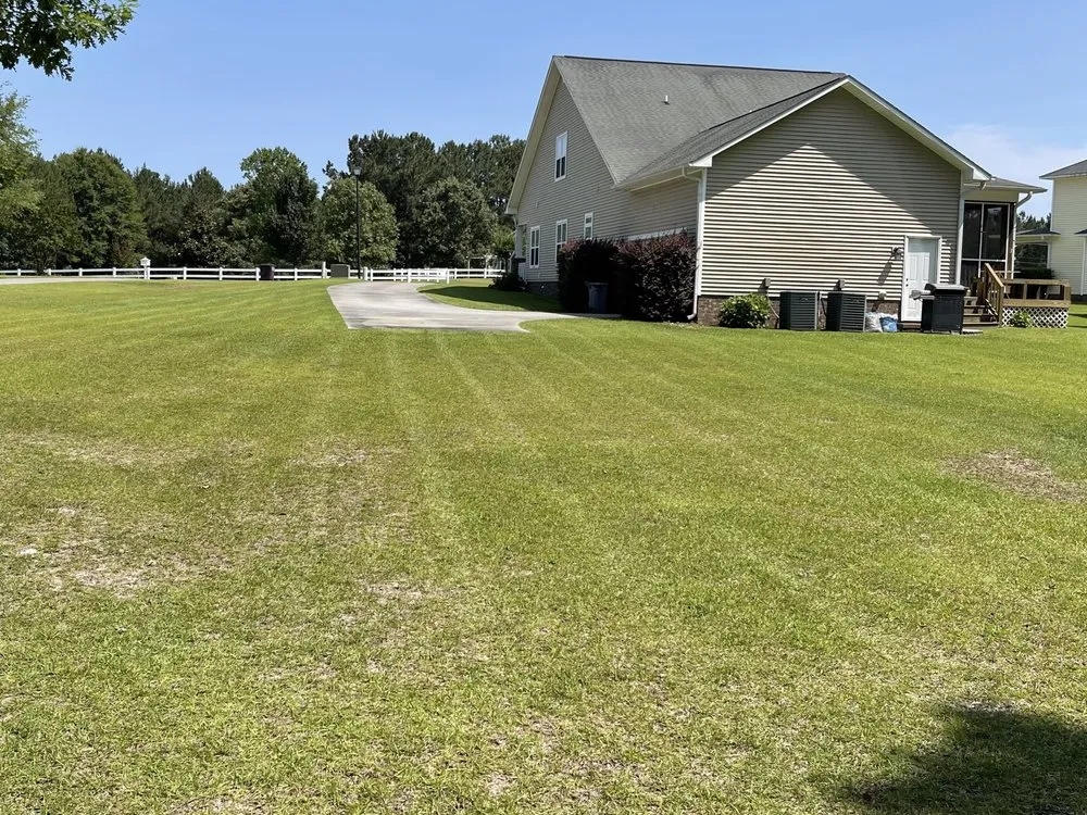 Reliable yard cleanup service in Jacksonville, NC - Blade an Bloom Commercial Landscaping